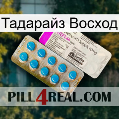 Тадарайз Восход new07